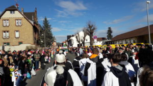 Fastnachtsumzug Alzey 2017